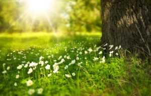 funeral poems to bring you peace