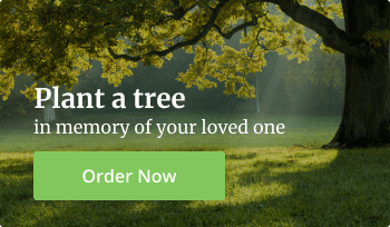 Plant a Tree Banner - Blog
