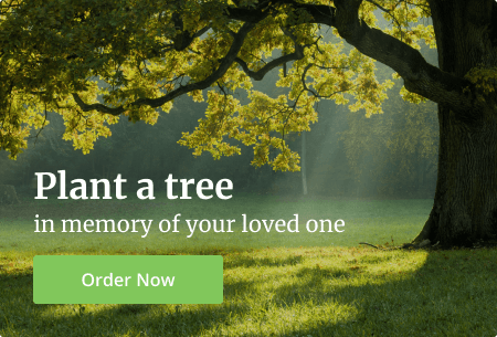 Plant a Tree Banner - Blog