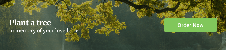 Plant a Tree Banner - Blog