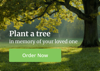 Plant a Tree