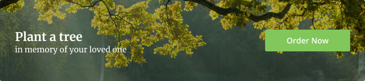 Plant a Tree